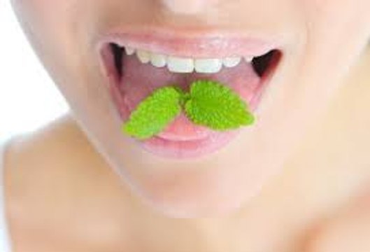 102. Do you know what Halitosis is? Do you suffer from bad breath? Simple remedies to eliminate it