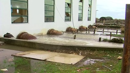 Pas ngricave, përmbytje - Top Channel Albania - News - Lajme