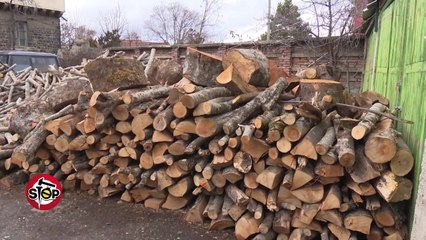 Stop - Mega-gjoba 50 milioneshe per nje dore shkarpa! (09 janar 2017)