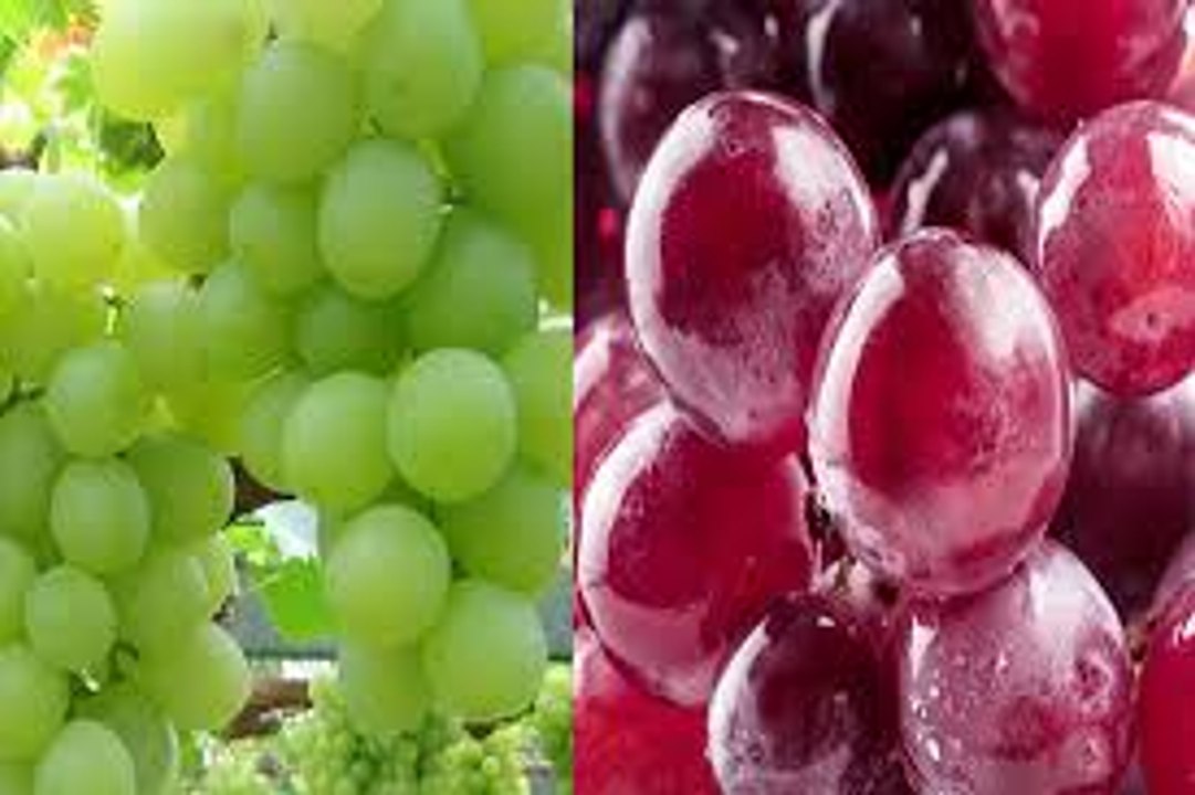 107.  Know the incredible benefits of grapes.