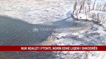 NUK NDALET I FTOHTI, NGRIN EDHE LIQENI I SHKODRËS