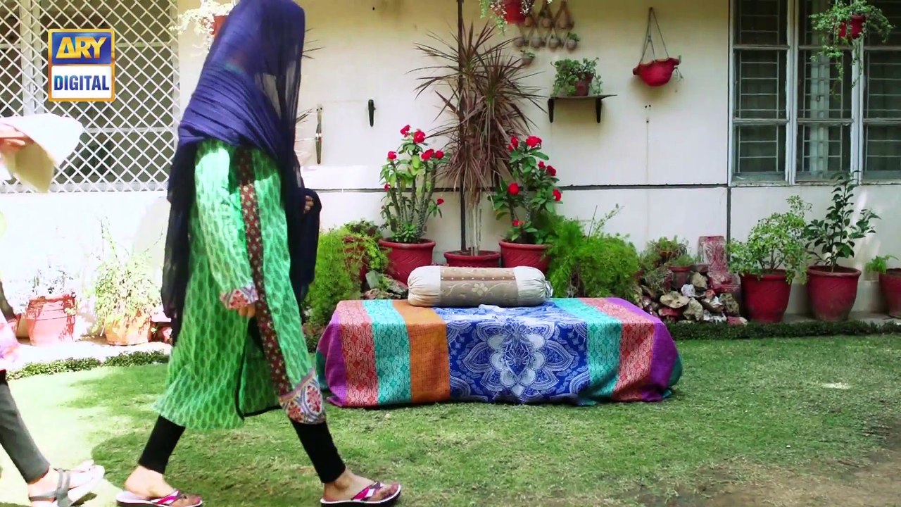 Watch Mein Mehru Hoon Episode 152 - on Ary Digital in High Quality 27th February 2017