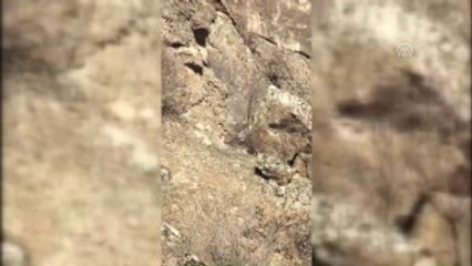 Mağarada Tuzaklanmaya Hazır Hale Getirilmiş 3 Tüp Imha Edildi
