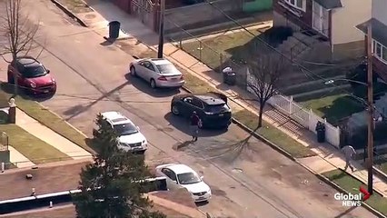 New-York : un taureau prend la fuite de l’abattoir et met le désordre dans les quartiers