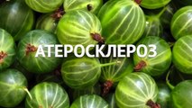 СОВЕТЫ ОТ СВЕТЫ