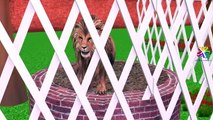 Lion Cartoons For Children Finger Family Nursery Rhymes | Lion Finger Family Rhymes For Children