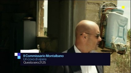 Bande annonce VO - Un covo di vipere