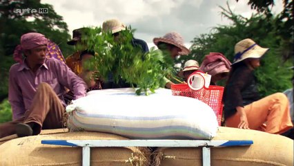 Cambodge: Le Petit Train De Bambous