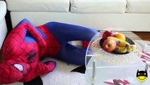 PAW Patrol Zuma Spiderman vs замороженные Эльза Минни в w/ Рапунцель БАССЕЙН ПАНИКИ! Venom DROWNS Princess