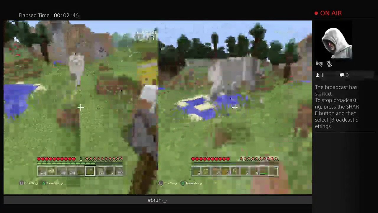 Playing survival with Elle (2)