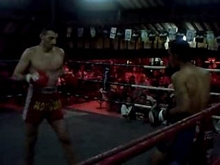 Pattaya thai  boxe