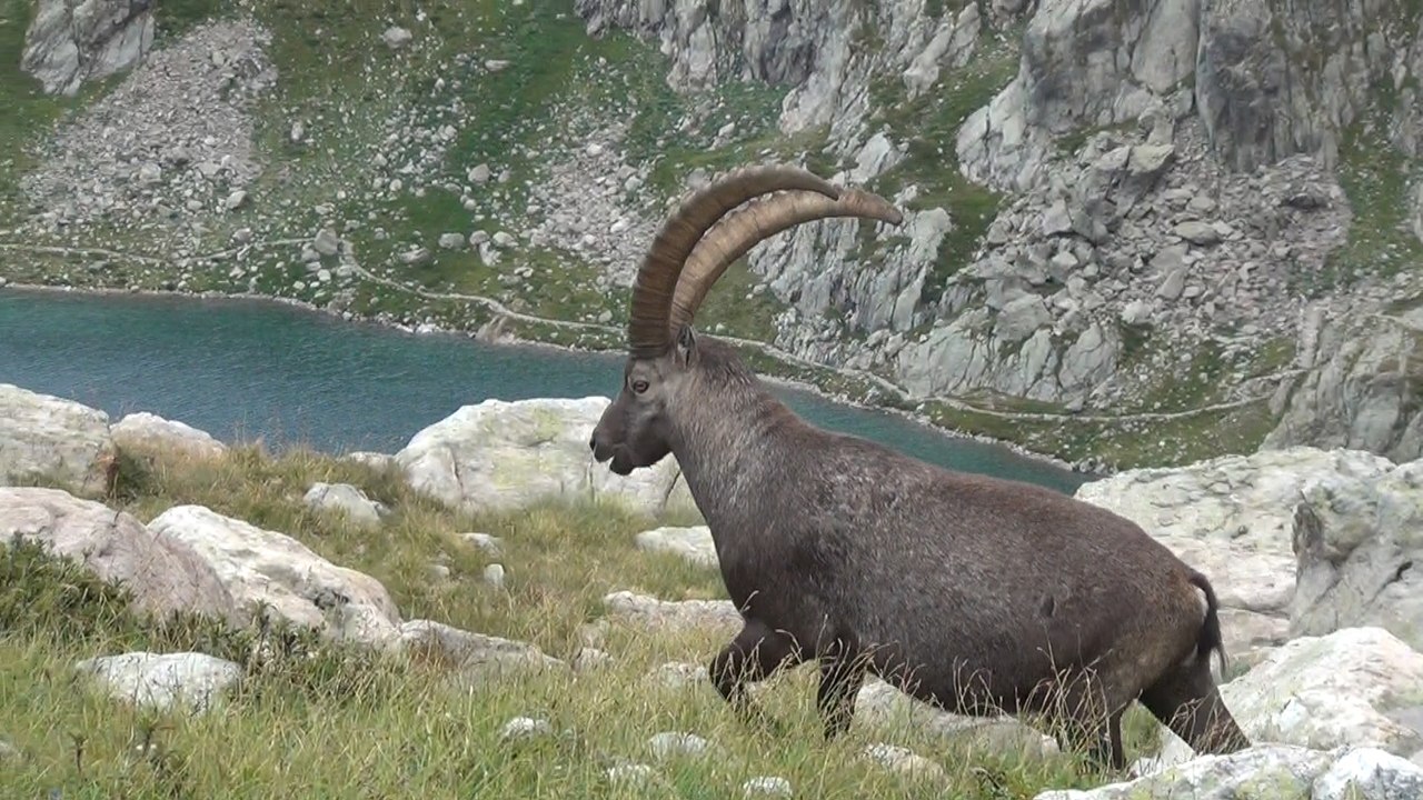 RANDO & BIVOUAC dans le MERCANTOUR Août 2015