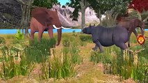 Animals Finger Family Nursery Rhymes Songs | Colors Lion Elephant Rhino Finger Family Song
