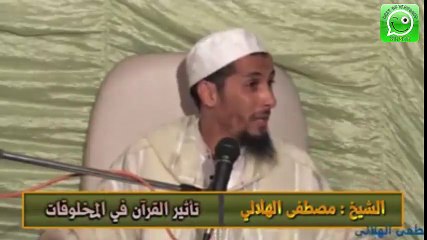 الشيخ مصطفى الهلالي ..jadid chaikh lhilali