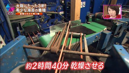 20170217 金曜とれたて晩ご飯
