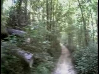 Le Havre - Bois du colmoulin