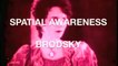 Spatial Awareness - Brodsky