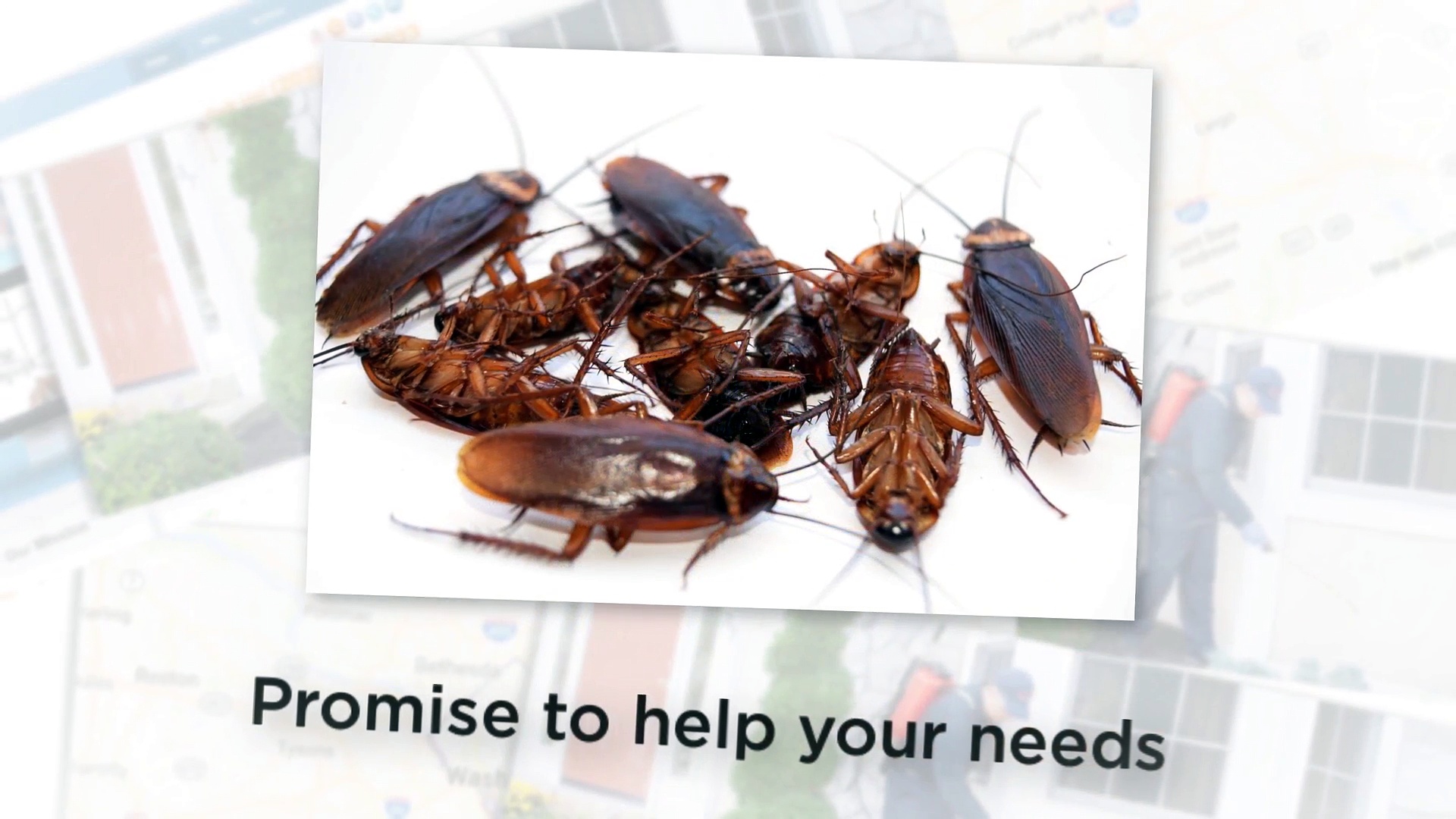 EZ Bed Bug Exterminator Washington DC