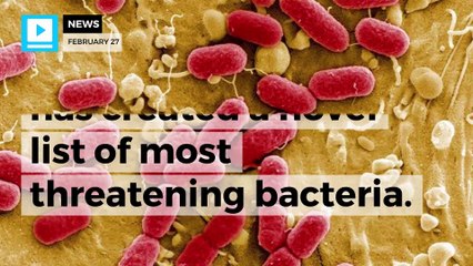 Scary developments lead WHO to release deadliest bacteria list