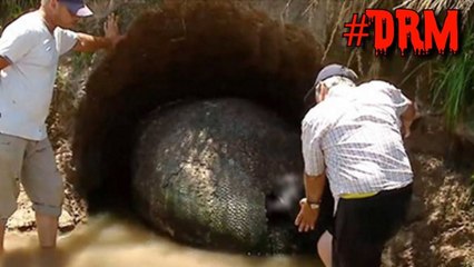 Veja que incrível o que esses caras encontraram! #DRM @Jonnymysterium