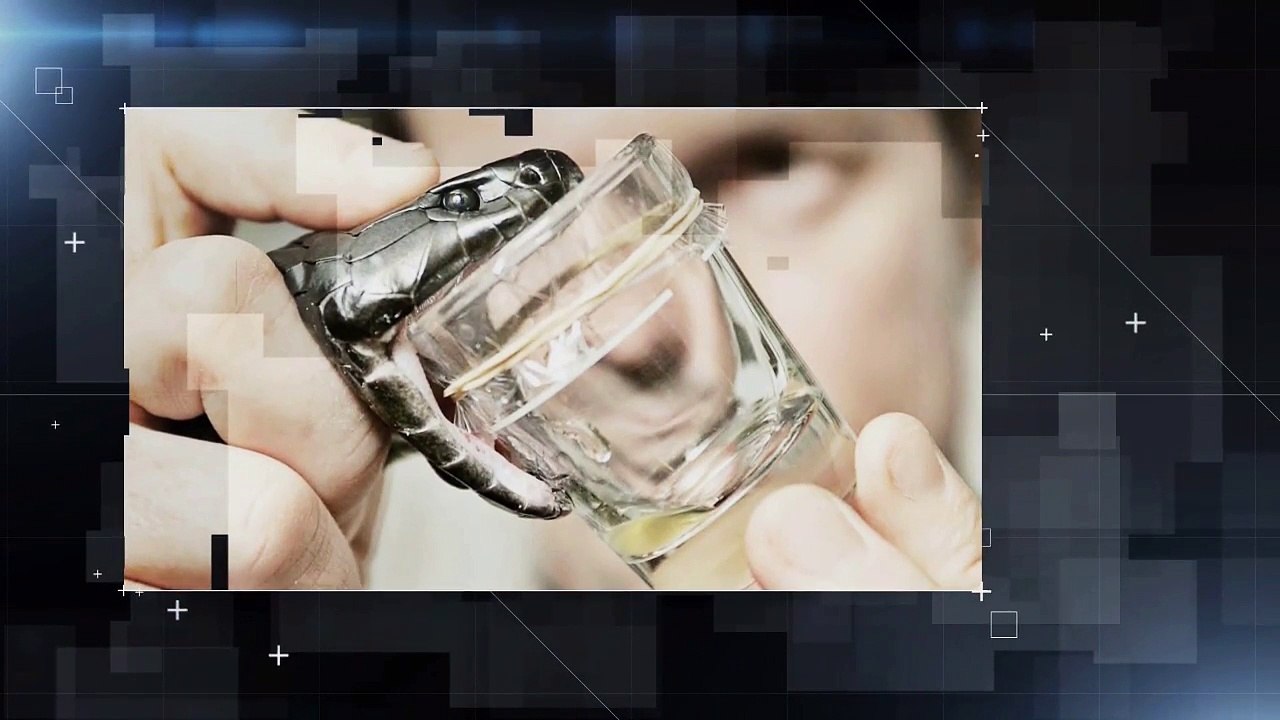 5 SUBSTÂNCIAS INCRÍVEIS PRODUZIDAS POR ANIMAIS