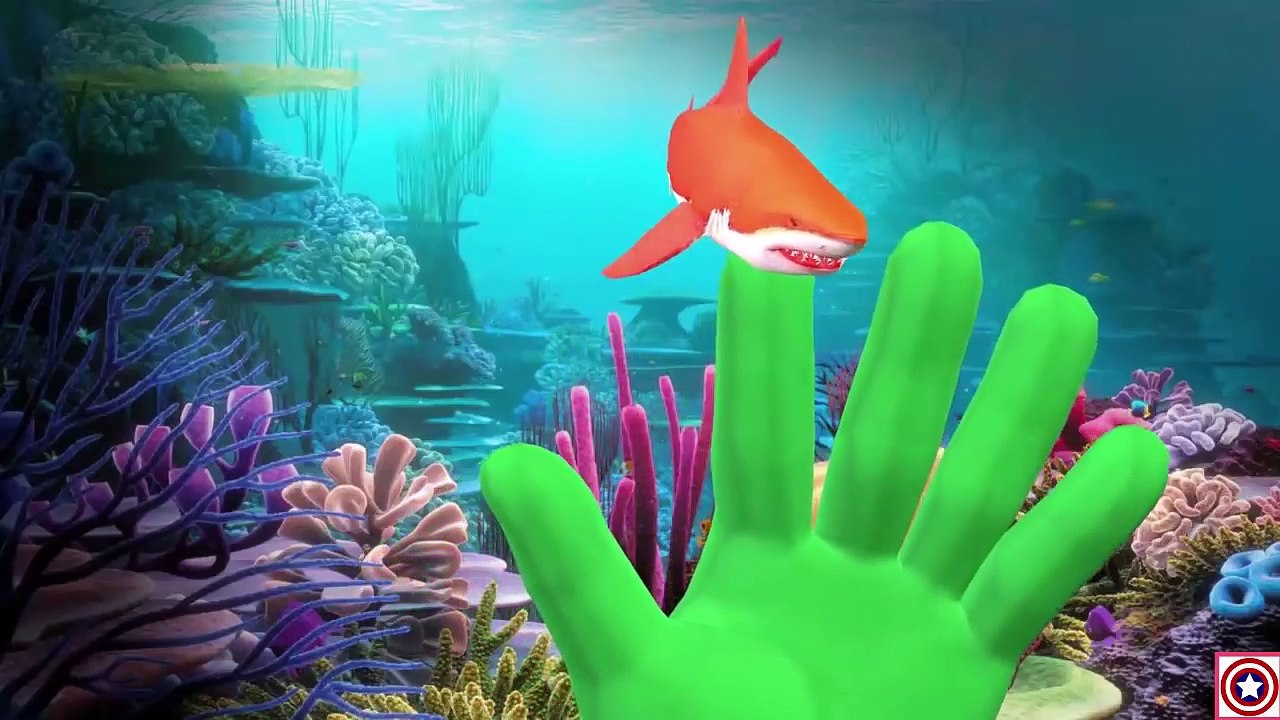 Animal Finger Family Songs Collection | Animal Songs For Kids Children | Finger Family Nursery Rhyme