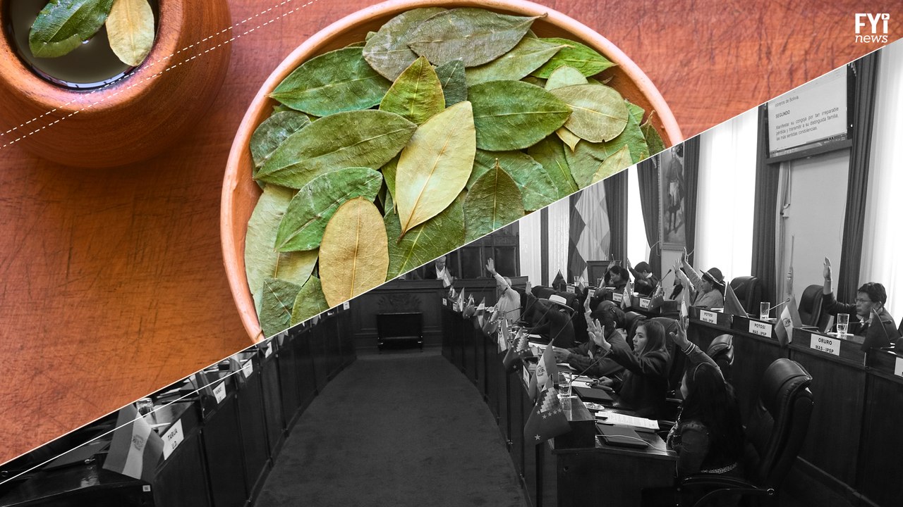 Why Does Bolivia Want More Coca Crops?