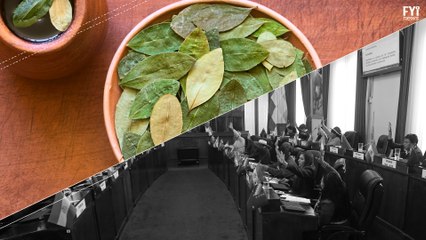 Why Does Bolivia Want More Coca Crops?