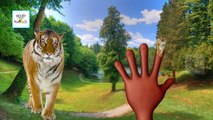 Finger Family Animals Cartoons | Finger Family Songs Collection | Daddy Finger Rhymes & Songs
