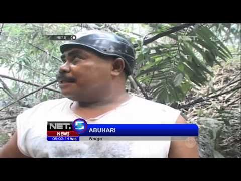 Kebakaran Hutan Di Indonesia - NET5