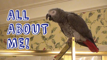 Einstein claims it’s All About HIM!