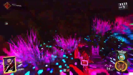 Call of duty infinte warfare zombies Redwoods (239)