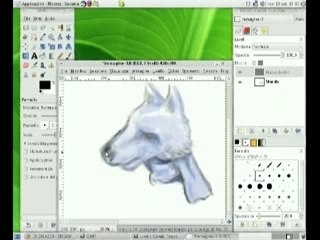 Digital Artist with Gimp