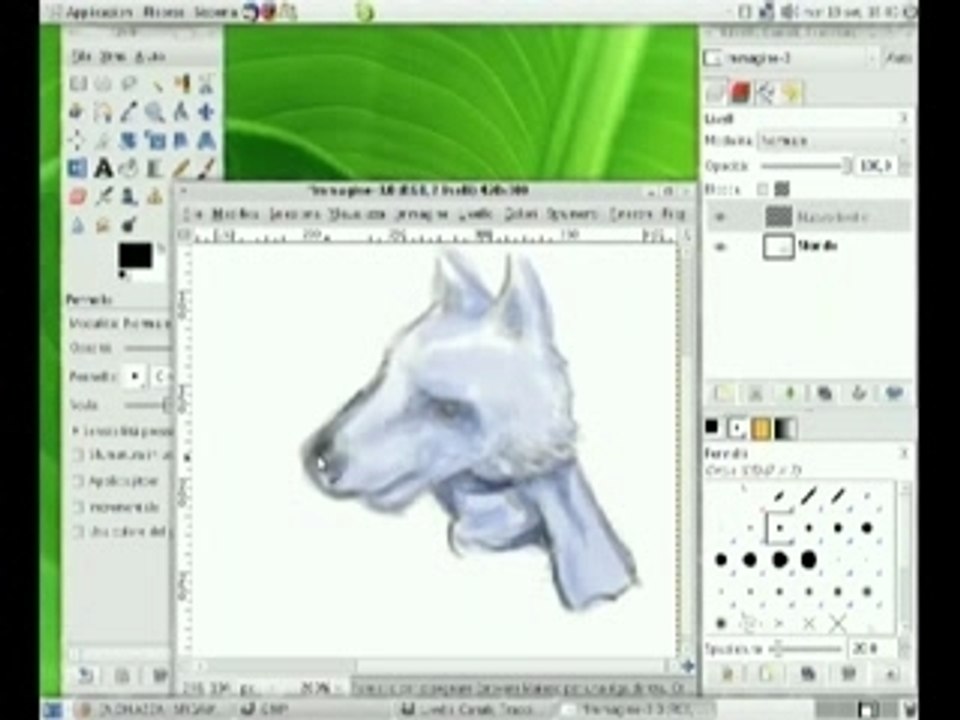 Digital Artist with Gimp