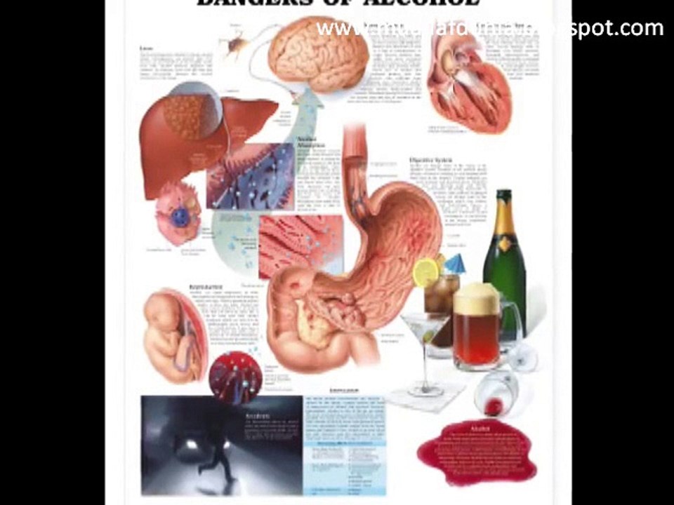 [100] UST. YUSHA EVANS Vol.01 (MANTAN PENDETA & MISSIONARIS): “Aneh! Dlm Injil Para Nabi Digambarkan Perilakunya BURUK!“