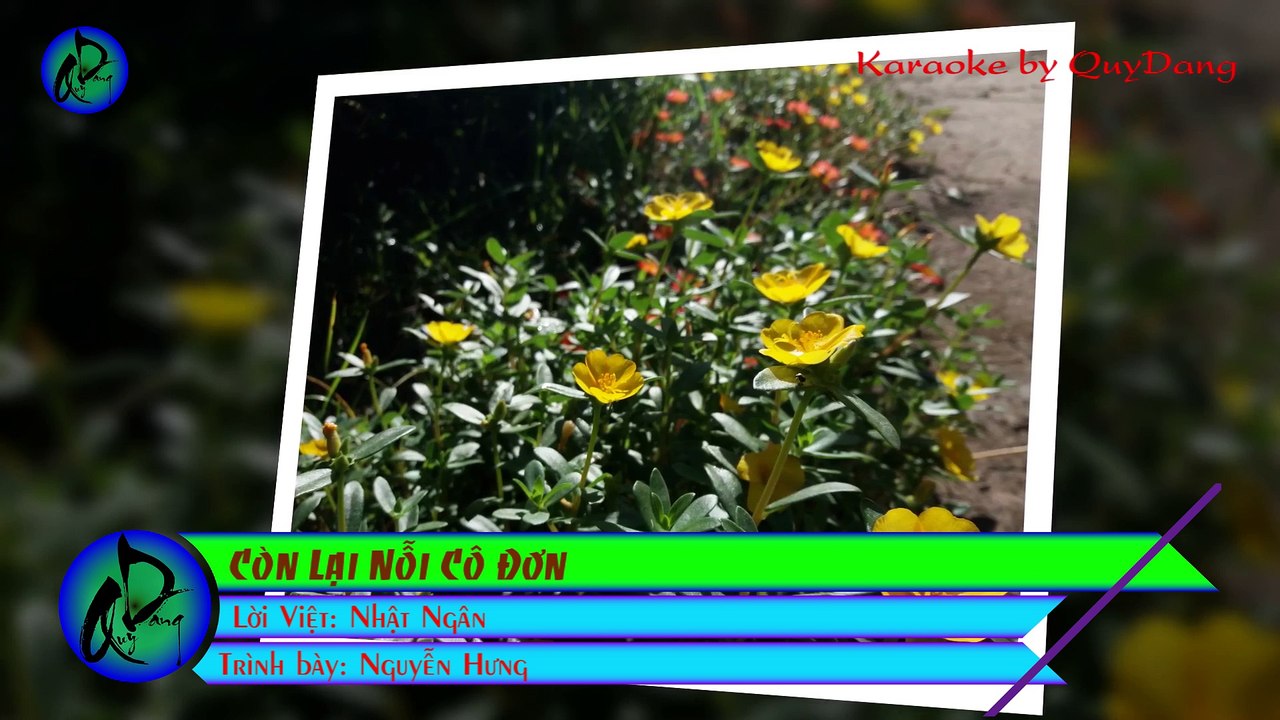 Còn Lại Nỗi Cô Đơn | Nguyễn Hưng | Karaoke Beat HD