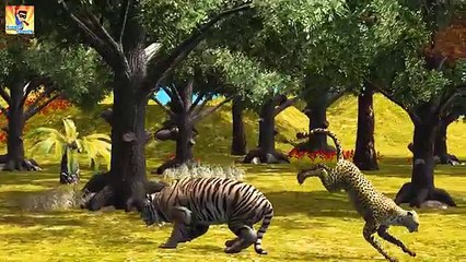 Tiger Finger Family | Lion Cheetah 3D Animated Finger Family Rhymes For Babies | Animals C