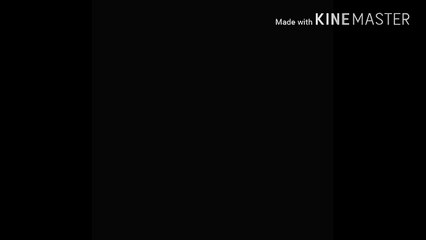 Untitled 1280x720 3.78Mbps 2017-02-28 05-50-20