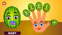 Watermelon Cartoons Singing Finger Family Children Nursery Rhymes for Kids and Babies