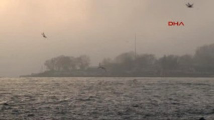 Istanbul'da Deniz Trafiğine Sis Engeli