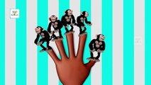 Animal Finger Family | Monkey Finger Family Song | 3D Animation Nursery Rhymes & Songs for Children