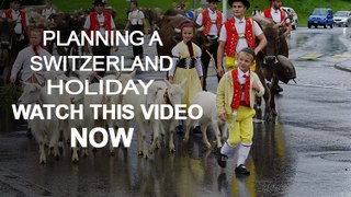 Planning A Switzerland Holiday - Watch This Now