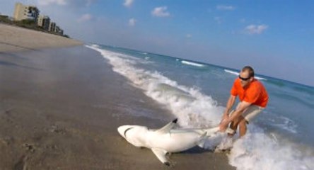 Köpek Balığı Kurtarma Operasyonu