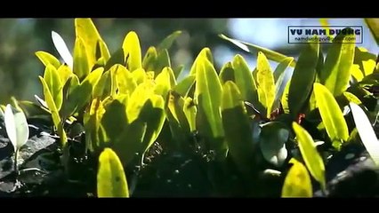 Northwest beauty DIY adventurers under the lens