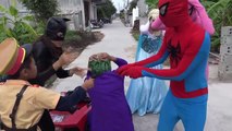 Joker Drop Baby into Lake vs Black Spiderman Frozen Elsa vs Pinks Spidey Girl Funny Videos