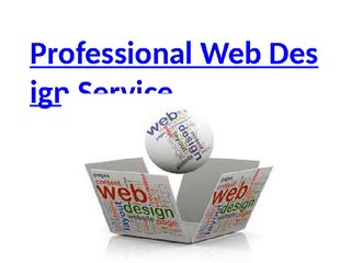 Professional web design Company