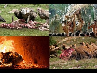 Rùng mình với những phong tục ''táng người ch.ế.t'' kinh dị nhất!