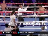 Quand un spectateur monte sur le ring pour frapper un boxeur en plein combat