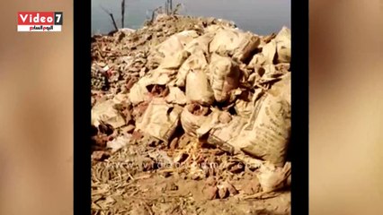 بالفيديو.. "اليوم السابع" ترصد عمليات ردم موسعة للنيل بقنا