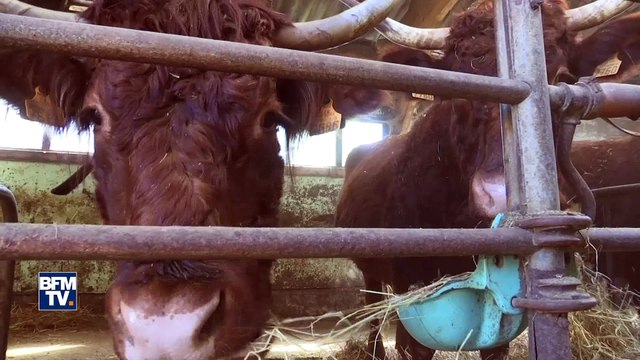 Comment expliquer la sécheresse hivernale rare qui frappe le Haut-Rhin